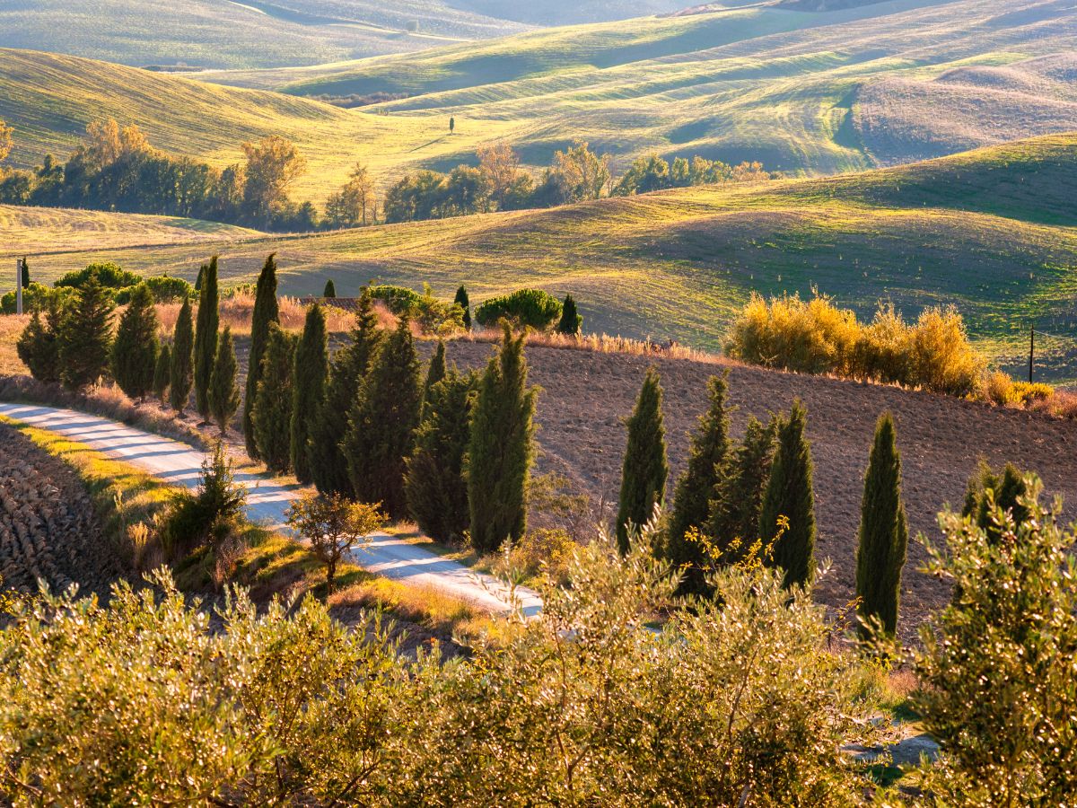 Toscane